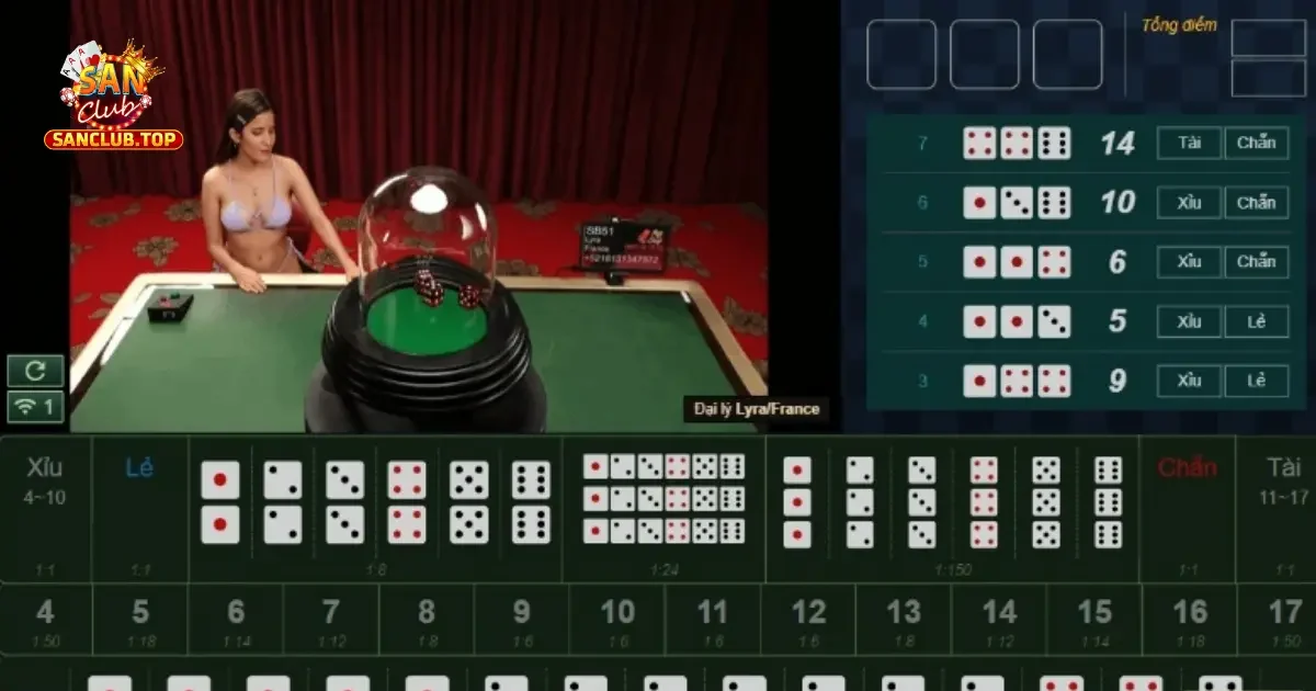 Cách Phân Biệt Các Loại Cầu Trong Tài Xỉu